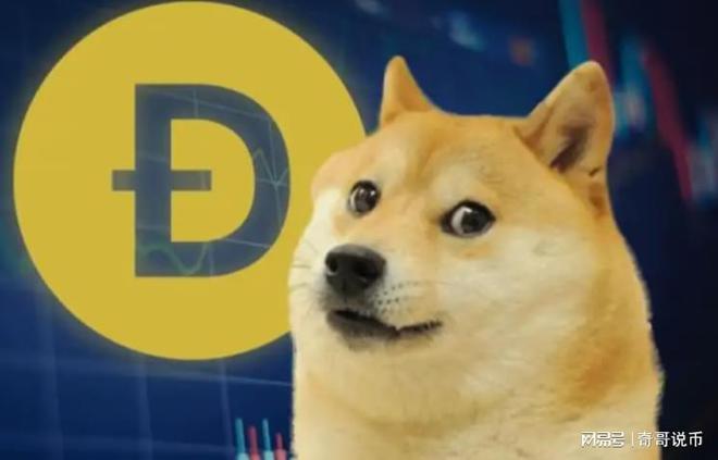 狗狗幣今日行情概覽，最新價格走勢分析